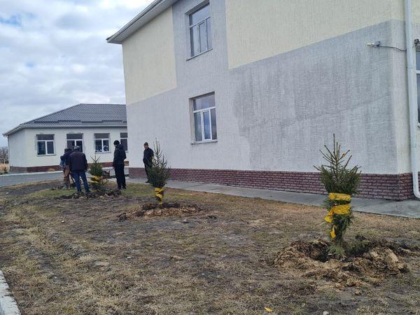 Б.Садырбайұлы атындағы орта мектебін көгалдандыру мақсатында демеушілер тарапынан, мектебіміздің 1969 жылғы түлектері  атынан, 15 шырша 100 000 теңгеге алынып, мектеп ауласына отырғызылды.